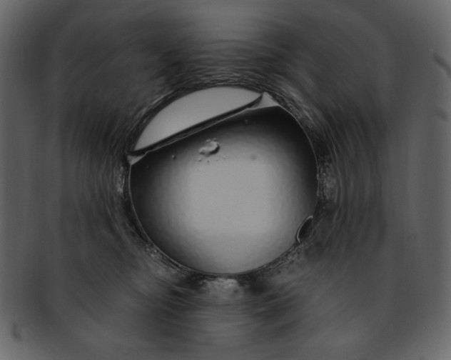 X0000093230374200710171424