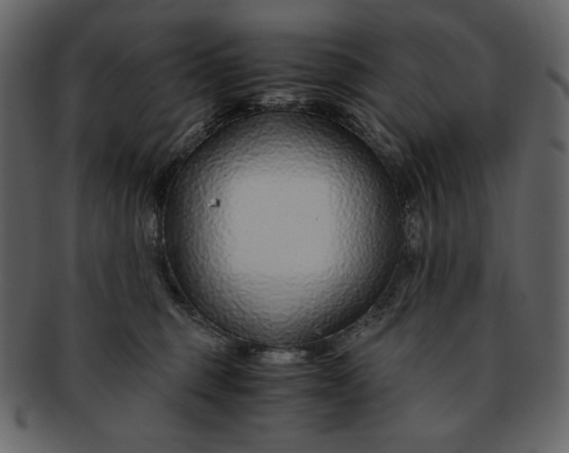 X0000093230375200710171424