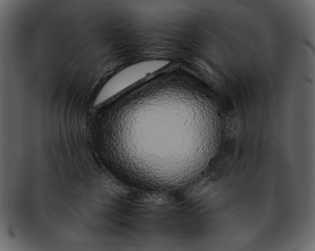 X0000093230377200710171424