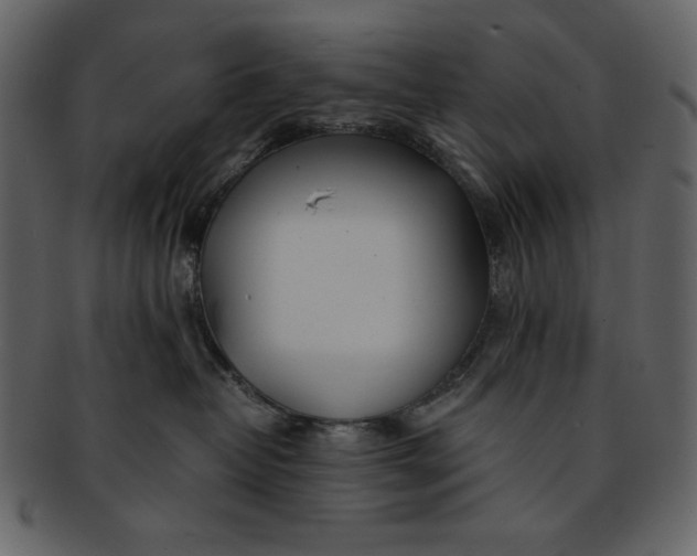 X0000093230382200710171424