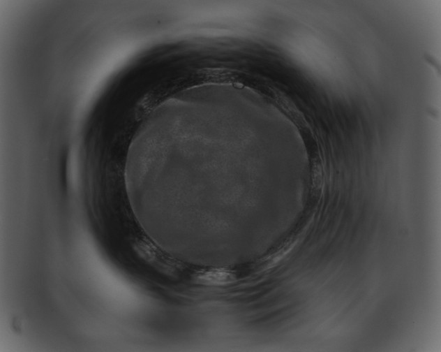 X0000093230383200710171424