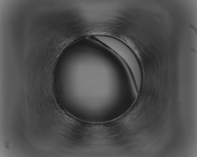 X0000093230385200710171423