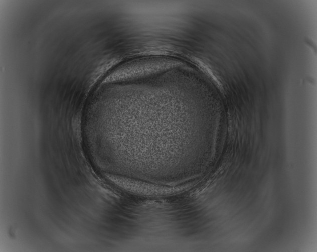 X0000093230386200710171423