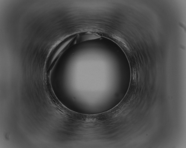 X0000093230388200710171423