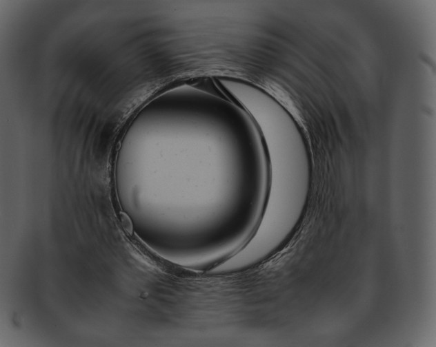 X0000093230389200710171423