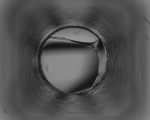 X0000093230391200710171423