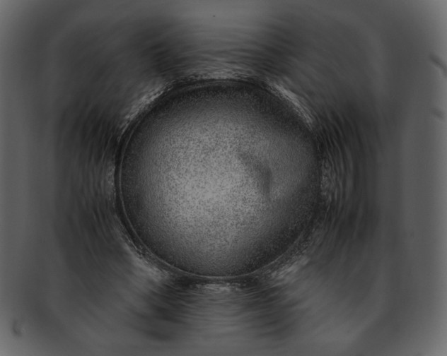 X0000093230394200710171423