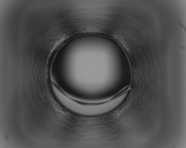 X0000093230395200710171423