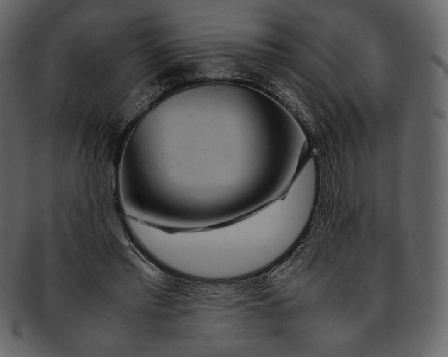 X0000093230397200710171423