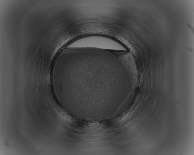 X0000093230399200710171423