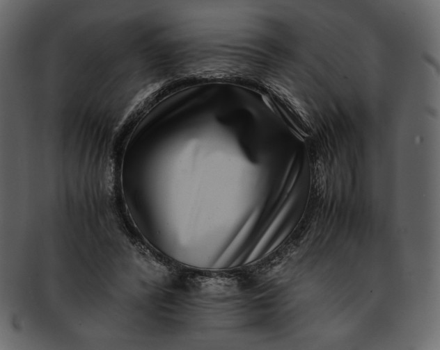 X0000093230400200710171423