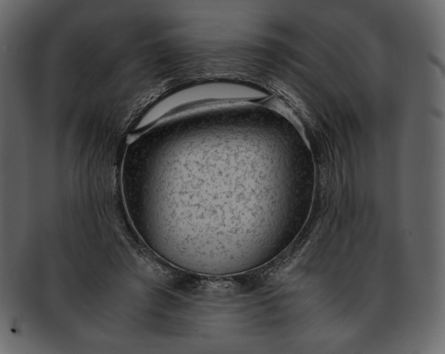 X0000093230401200710171423