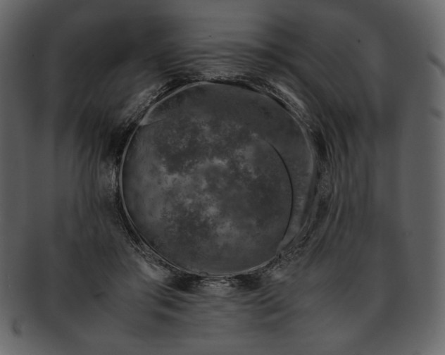 X0000093230405200710171423