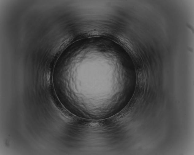 X0000093230406200710171423