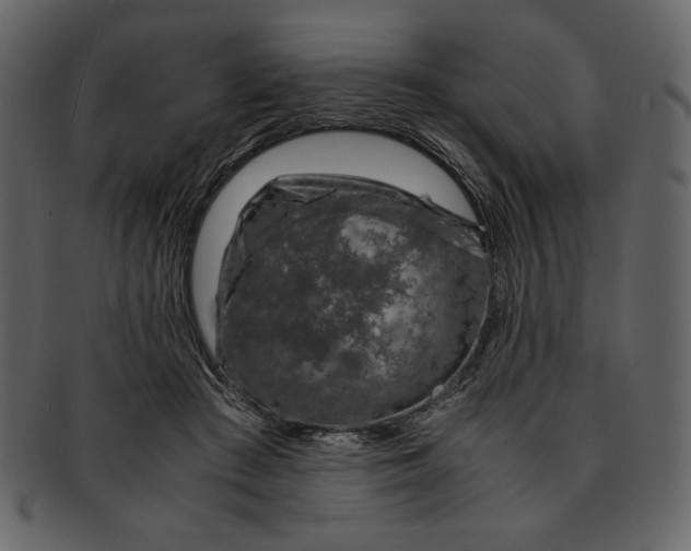 X0000093230409200710171423