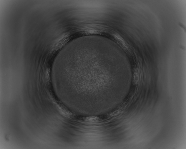 X0000093230410200710171423