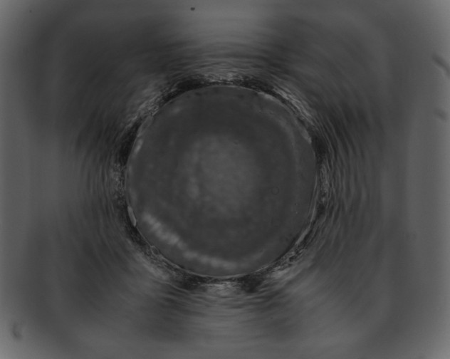 X0000093230411200710171423