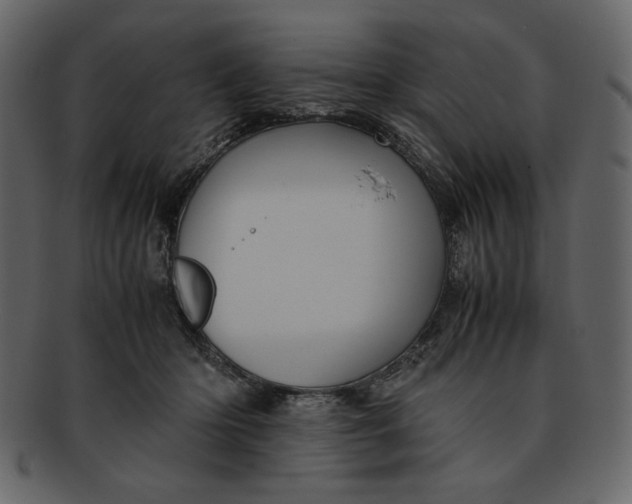 X0000093230414200710171423