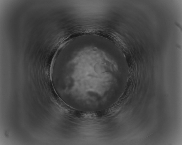 X0000093230415200710171423