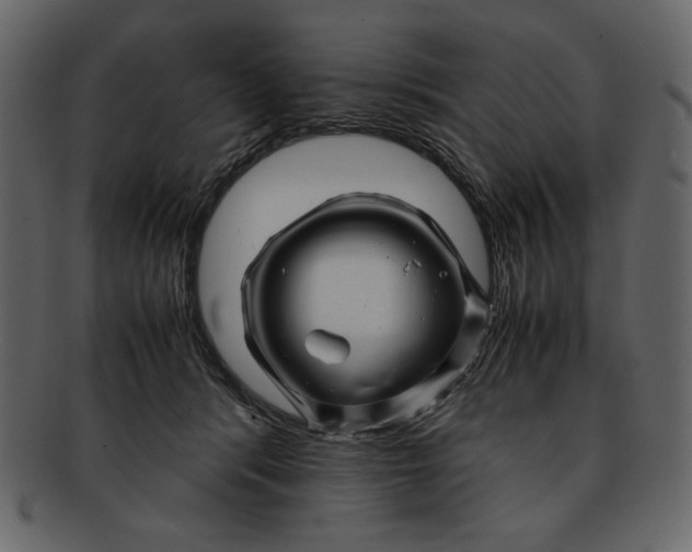 X0000093230416200710171423