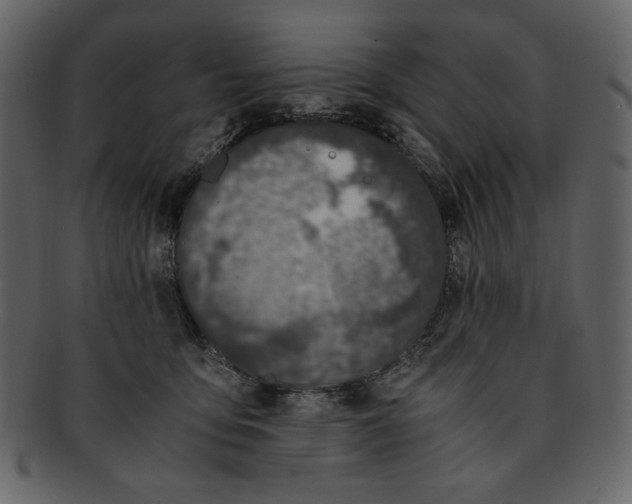 X0000093230419200710171423