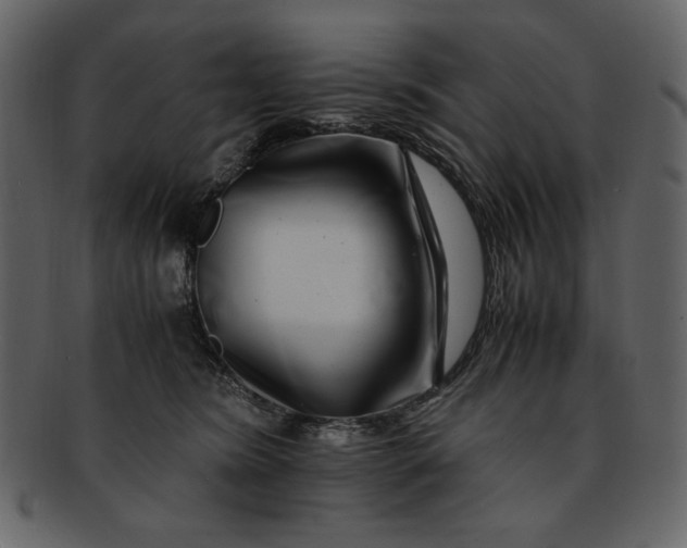 X0000093230420200710171423