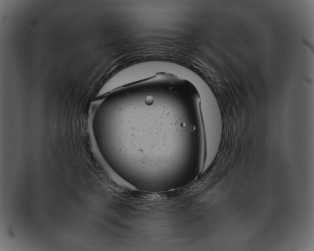 X0000093230421200710171423