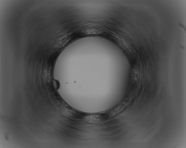 X0000093230422200710171423