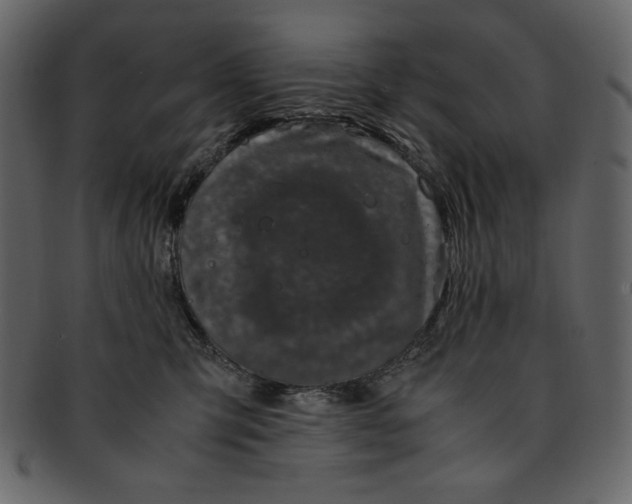 X0000093230423200710171423