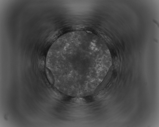 X0000093230427200710171423