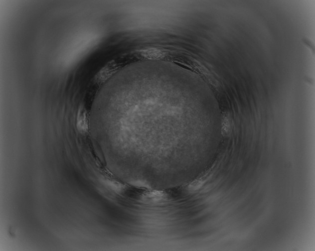 X0000093230431200710171422