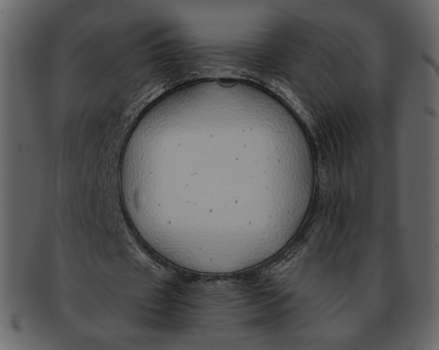 X0000093230433200710171422