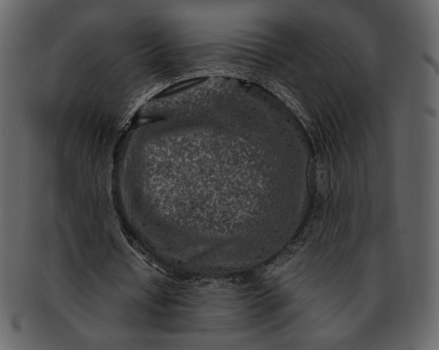 X0000093230434200710171422