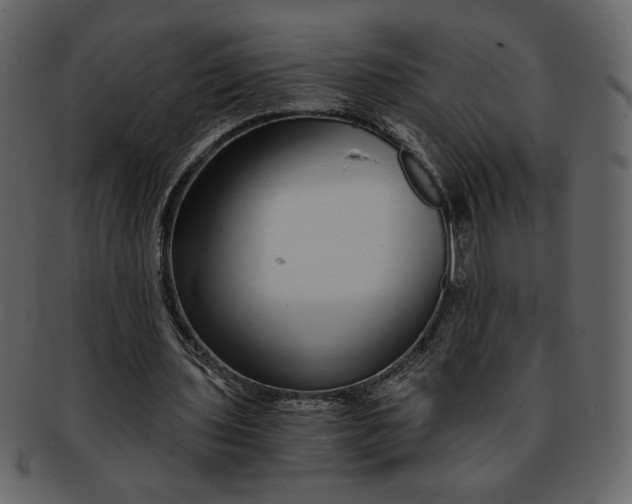 X0000093230435200710171422