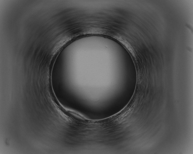 X0000093230437200710171422