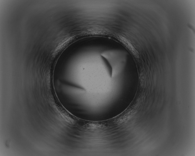 X0000093230442200710171422