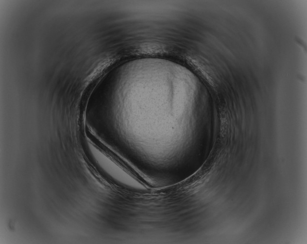 X0000093230443200710171422