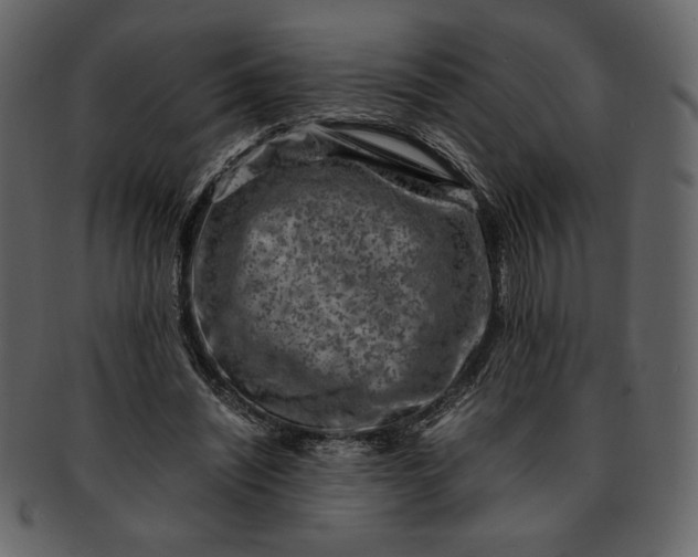 X0000093230444200710171422