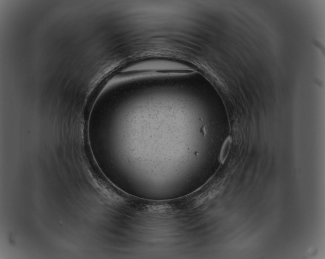 X0000093230446200710171422