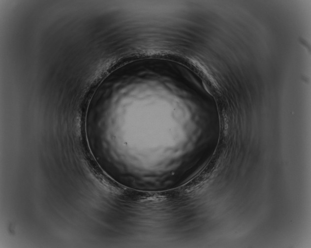 X0000093230447200710171422