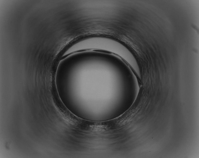 X0000093230448200710171422