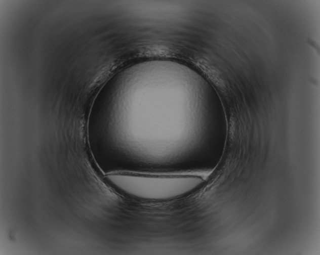 X0000093230449200710171422