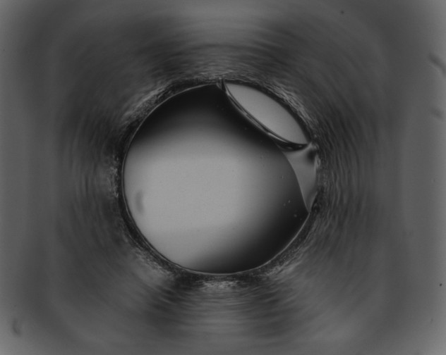 X0000093230450200710171422