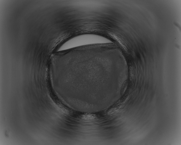 X0000093230451200710171422