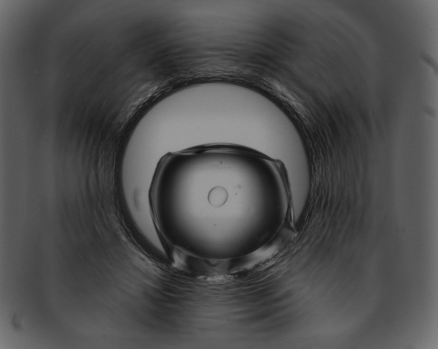 X0000093230452200710171422