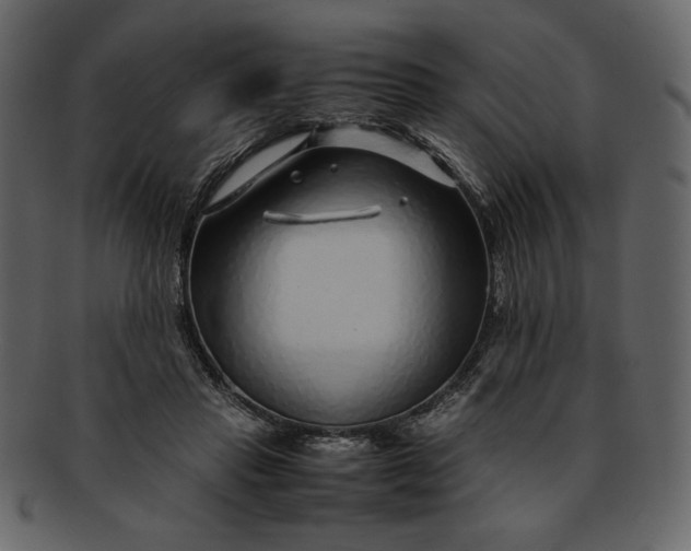 X0000093230453200710171422