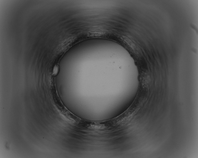 X0000093230455200710171422