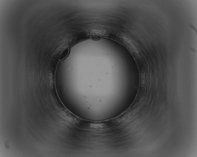 X0000093230457200710171422