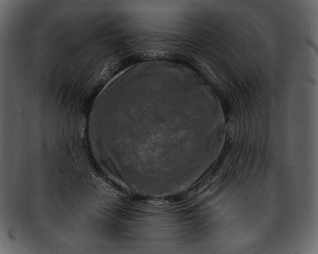 X0000093230458200710171422