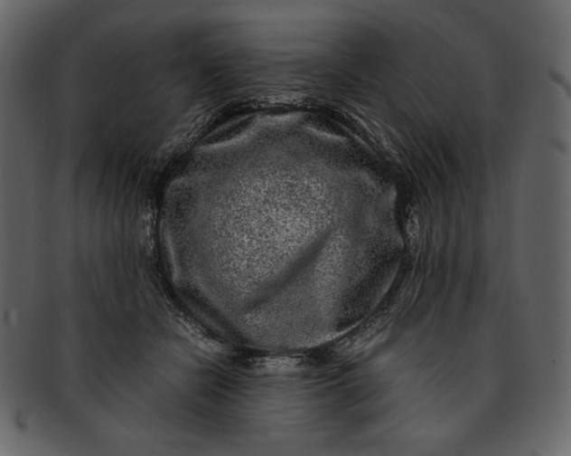 X0000093230462200710171422